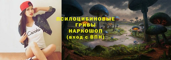 прущая мука Арсеньев