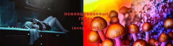 прущая мука Армянск