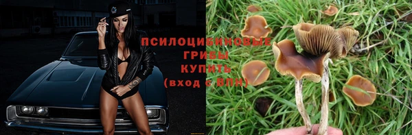 ГАЛЛЮЦИНОГЕННЫЕ ГРИБЫ Покров