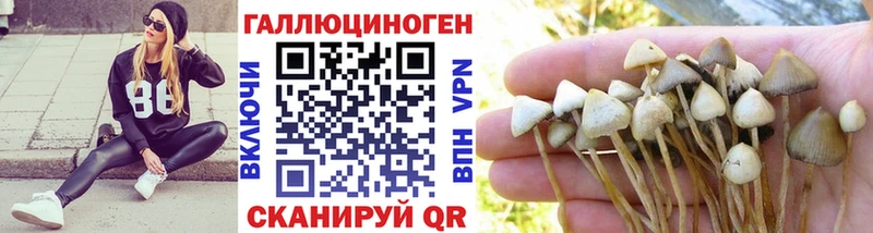 наркошоп  Кирово-Чепецк  Псилоцибиновые грибы ЛСД 
